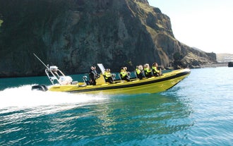 A whale-watching tour heads out to sea on a RIB.