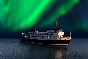 Ein Bild des Schiffes mit geräumigen Aussichtsdecks für eine komfortable Nordlichter-Beobachtung.