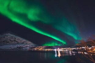 オーロラは、夜空に舞う色彩の別世界のような美しさを見せてくれる。