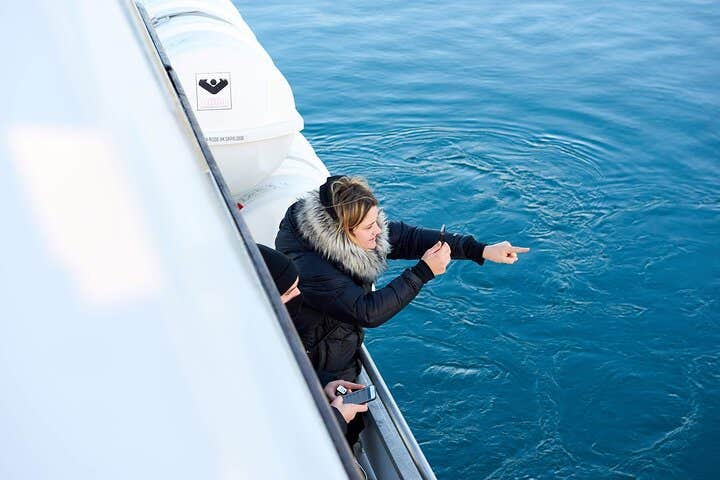 Whale Watching Yacht Cruise in Reykjavik