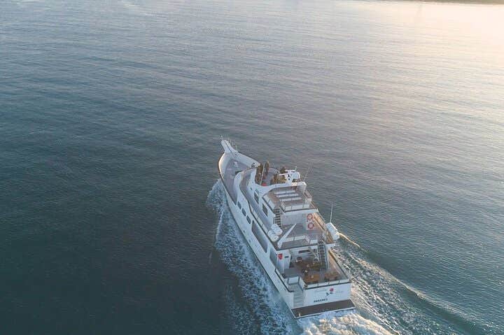 Whale Watching Yacht Cruise in Reykjavik