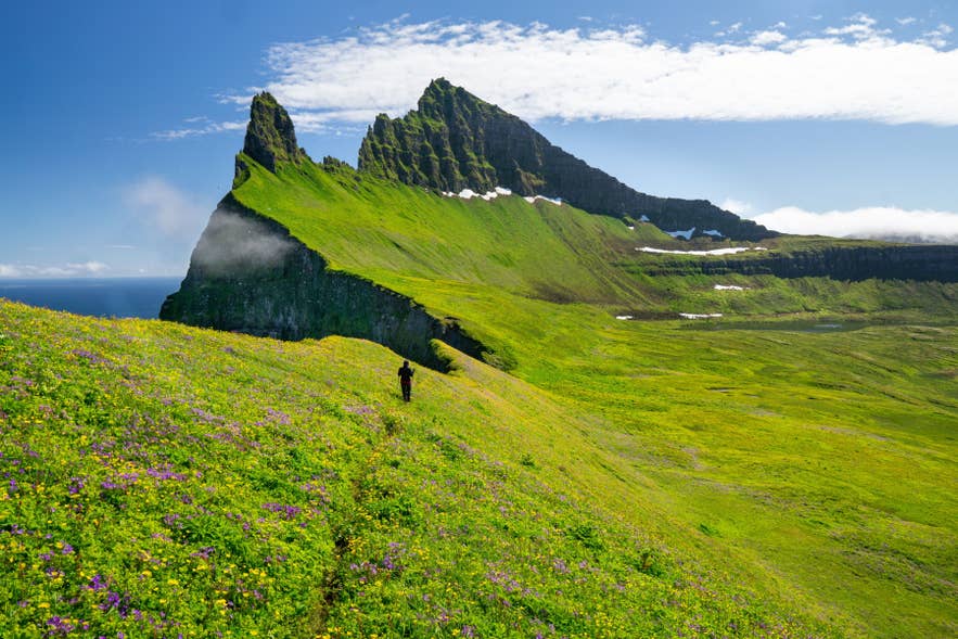 Hiker walking toward Hornbjarg sea cliffs in Hornstrandir Nature Reserve in the Westfjords, Iceland, during a remote backpacking trek. Hiker walking toward Hornbjarg sea cliffs in Hornstrandir Nature Reserve in the Westfjords, Iceland, during a remote backpacking trek.