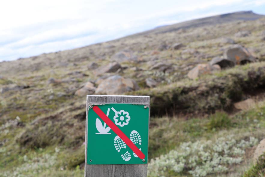 No walking off trail sign protecting fragile Icelandic moss in the Highlands near Landmannalaugar along the Laugavegur Trail.