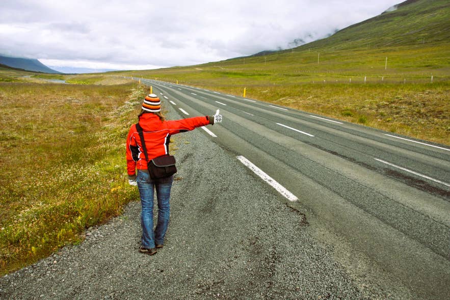 Traveler hitchhiking along Iceland’s Ring Road in the countryside, an occasional budget option for getting around Iceland without a car. Traveler hitchhiking along Iceland’s Ring Road in the countryside, an occasional budget option for getting around Iceland without a car.