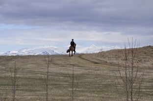 An Icelandic horse and rider overlook a snowy mountain range in South Iceland.