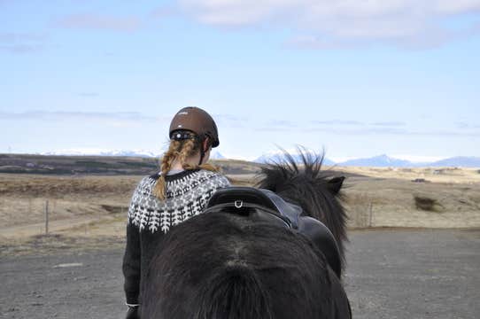 Exciting 2.5-Hour Horse Riding Tour in South Iceland for Experienced Riders