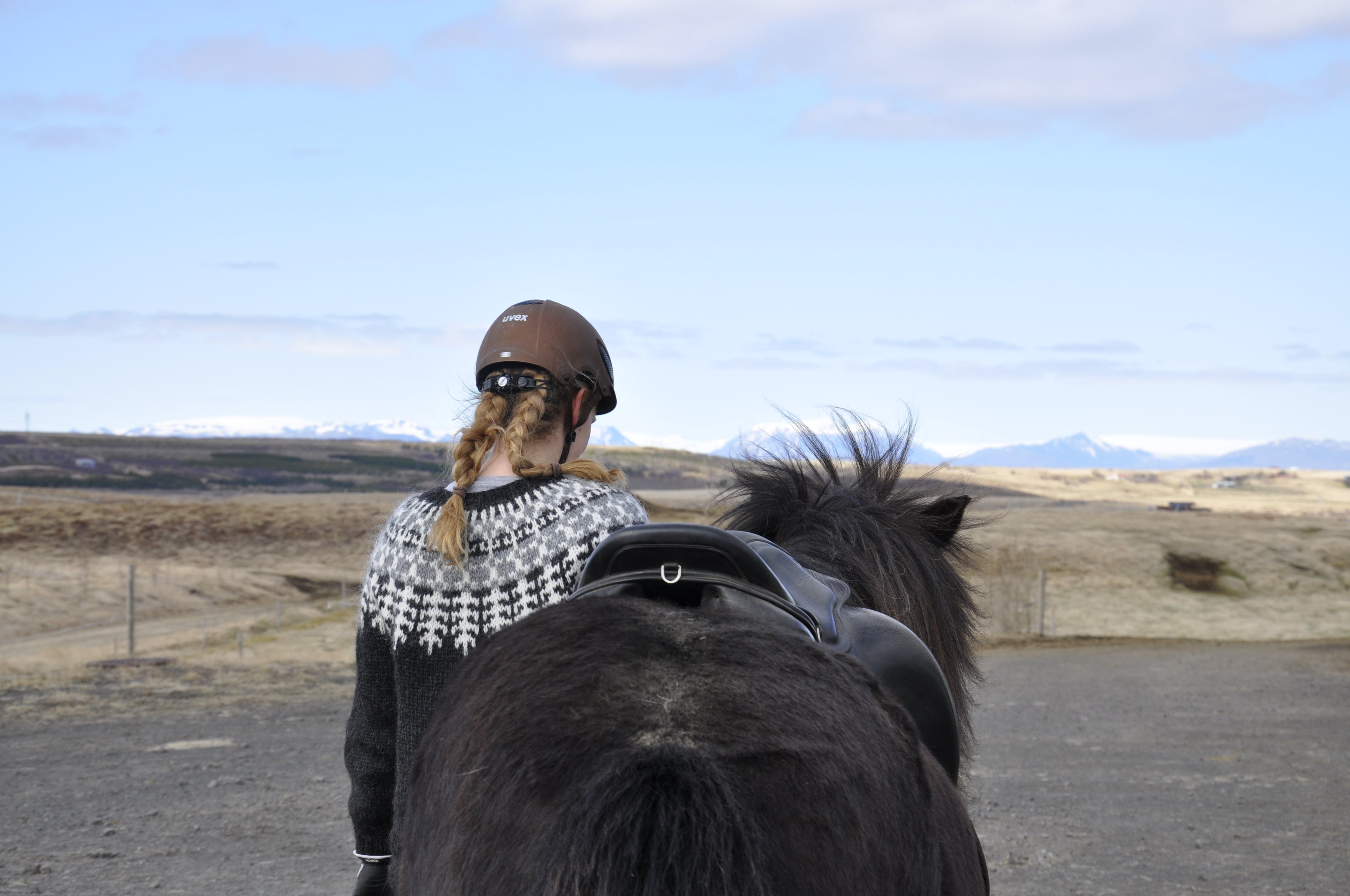 A woman guides an Icelandic horse during a tour.
