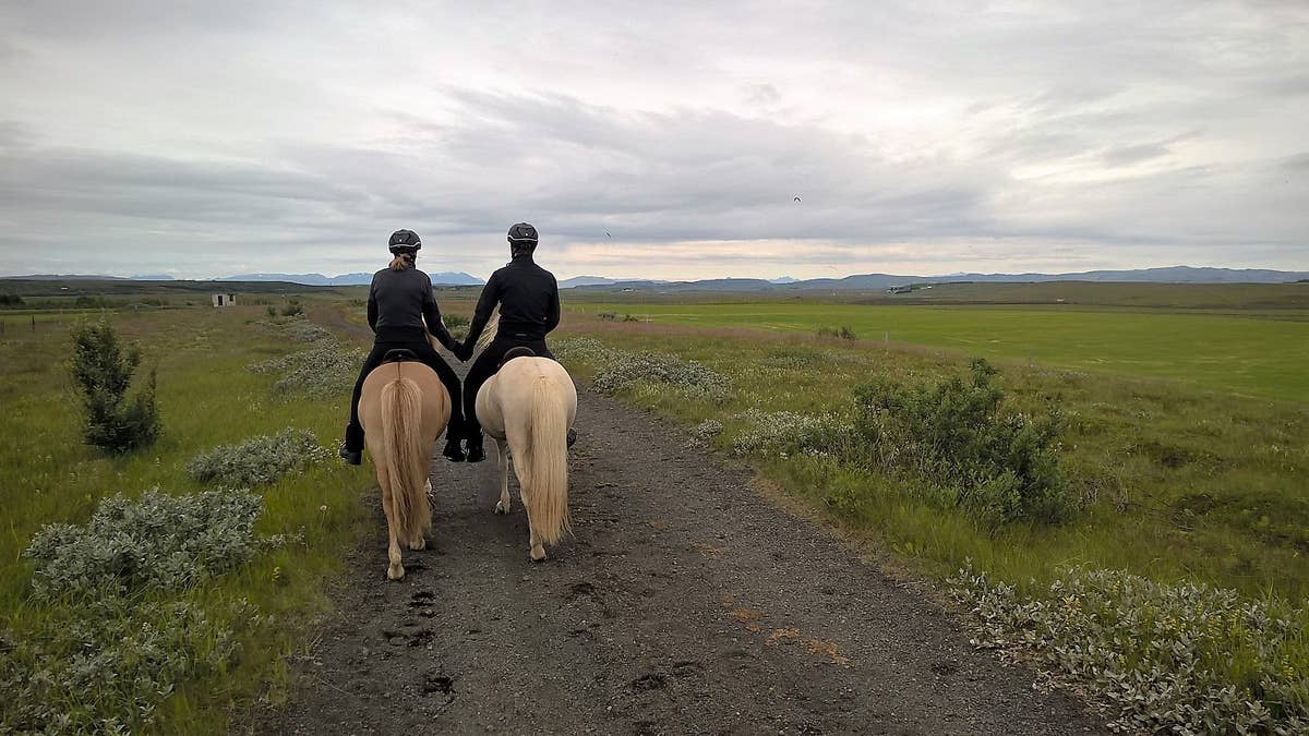Exciting 2.5-Hour Horse Riding Tour in South Iceland for Experienced ...