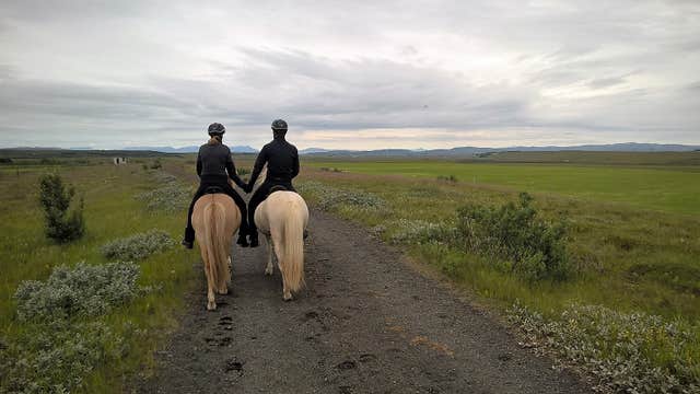 Exciting 2.5-Hour Horse Riding Tour in South Iceland for Experienced Riders