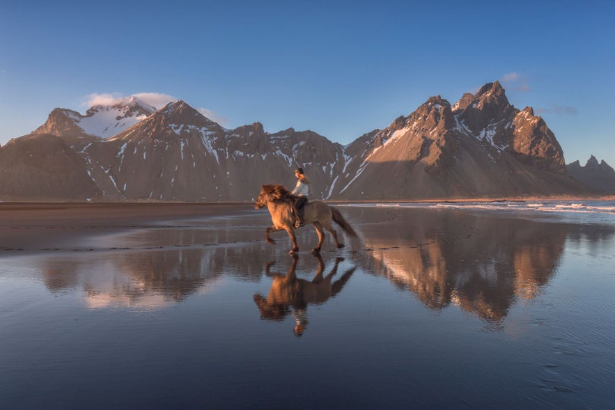 The Icelandic horse is a unique breed and the perfect companion for exploring nature