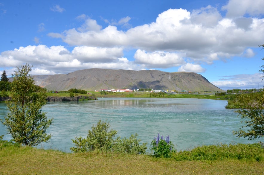 Top 8 Things to Do in Selfoss