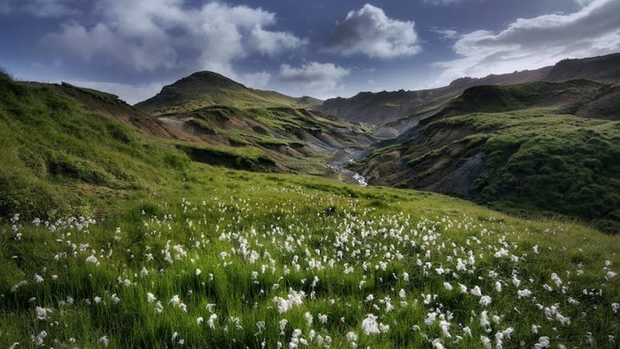 Islands Blå Lagune: Den ultimate reiseguiden