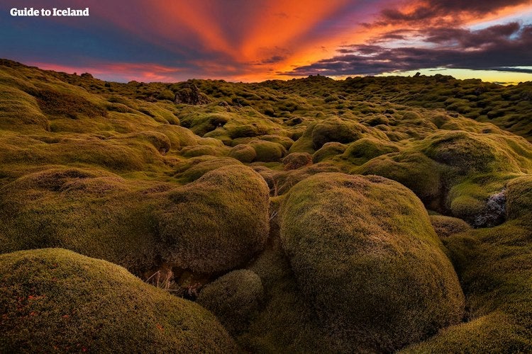 De beste attraksjonene ved ringveien på Island