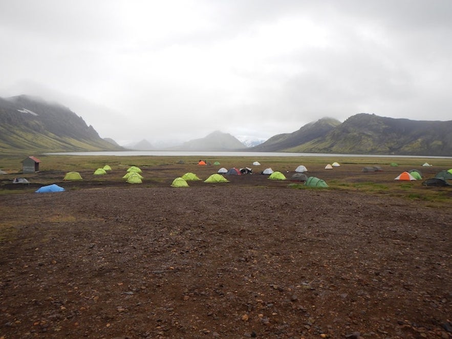 Camping på Island | Alt du trenger å vite