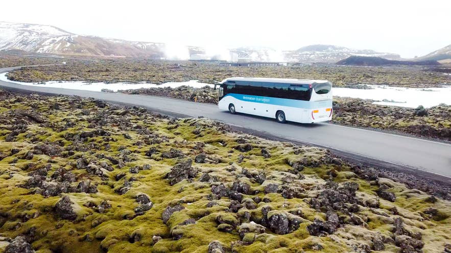 A tour bus travels through a moss-covered lava field in Iceland's Reykjanes Peninsula, the guided option that hands winter wind and road closures to a professional driver.