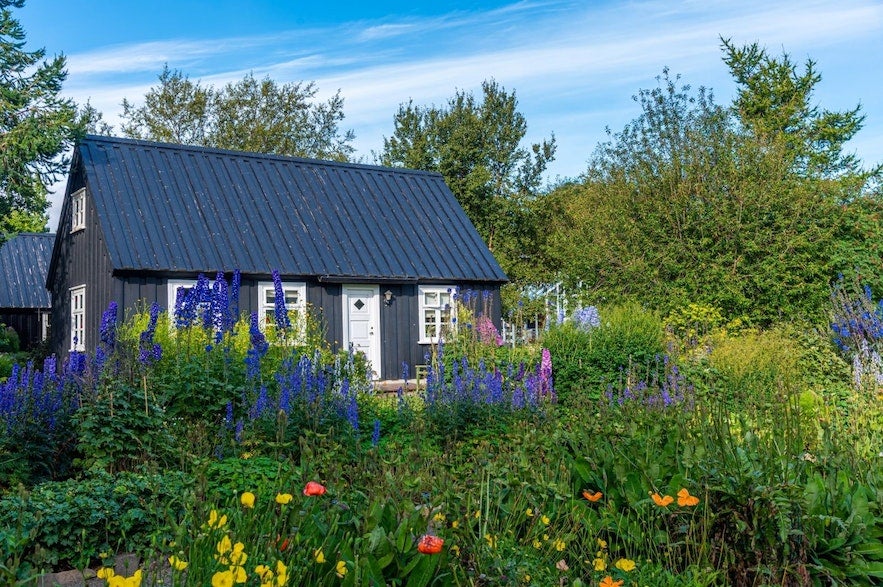 The Akureyri Botanical Garden is one of the more beautiful parks in Iceland