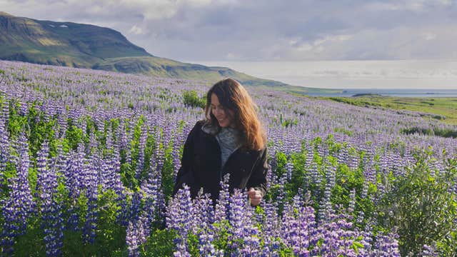 Private Silver Circle Tour with Polaroid Photo and English or Persian Live Guide from Reykjavik