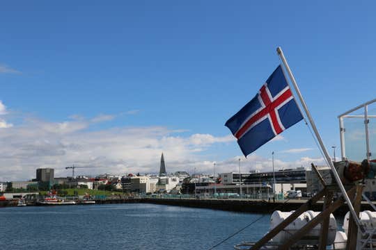 Private Cruise Terminal Transfer to Reykjavik or Vice Versa