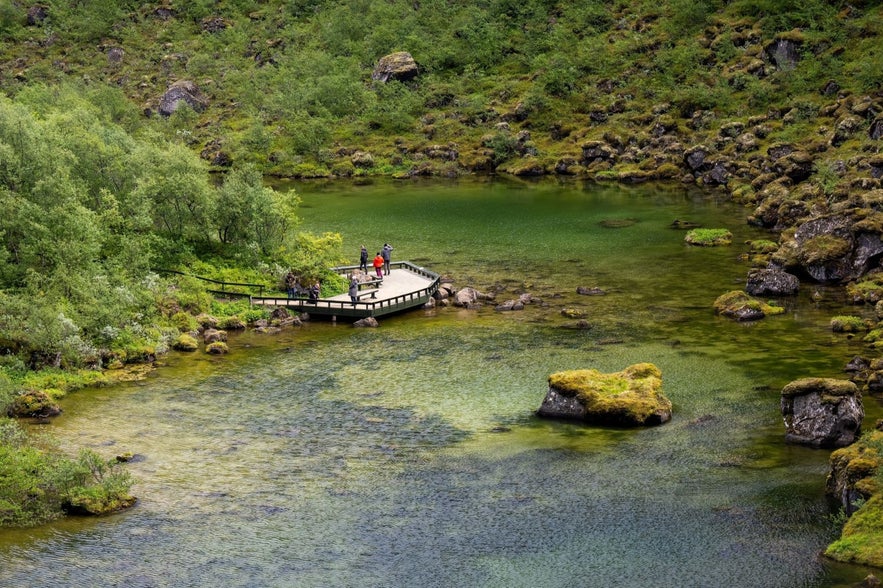 There is a beautiful pond in Asbyrgi, filled with birdlife