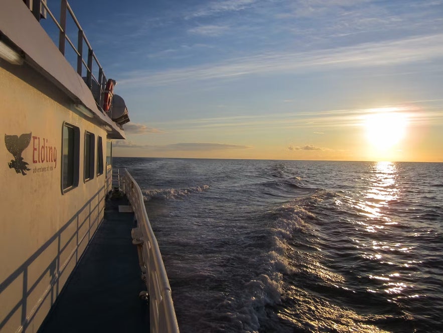 L'observation des baleines sous le soleil de minuit est une aventure.