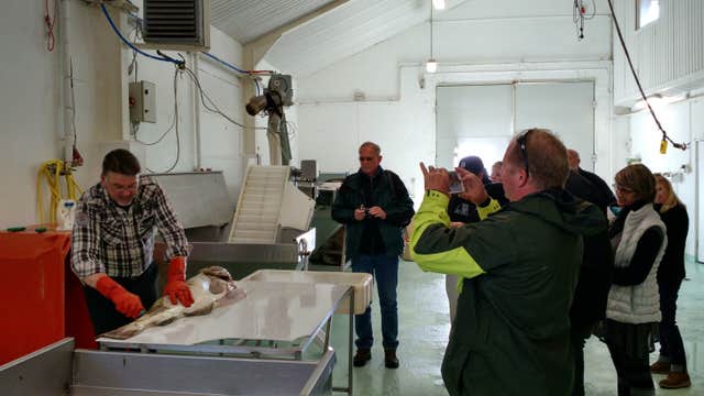 Private Trollaskagi Peninsula and Eyjafjordur Fjord Tour from Akureyri with Optional Activities