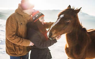 Couple petting Icelandic horse during winter in Iceland.