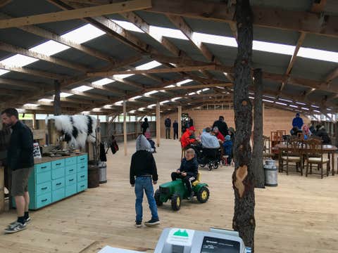 Private Akureyri Shore Excursion and Family Tour to Godafoss Waterfall and Daladyrd Farm