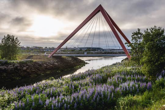 Private Reykjavik E-Bike Tour with City Highlights and Hidden Spots