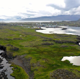 Paysage naturel de l'est de l'Islande avec un village côtier au loin.