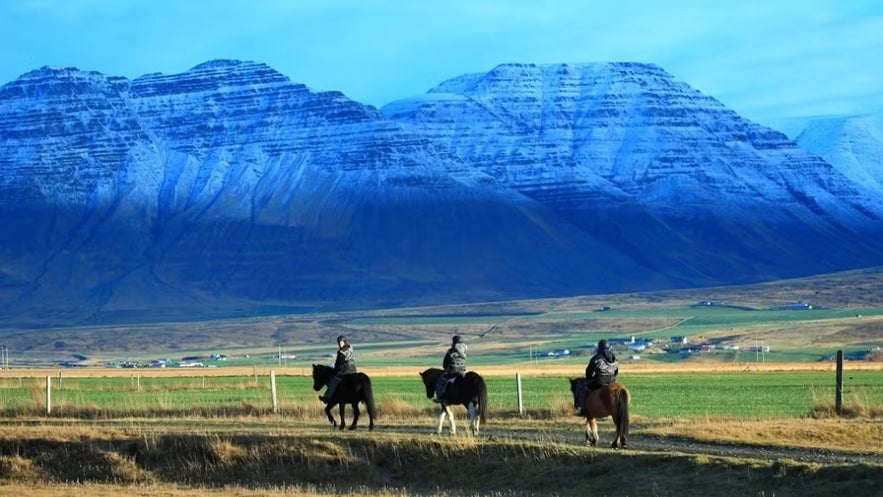 Horseback riding is one ot the best things to do in Icelandic nature Horseback riding is one ot the best things to do in Icelandic nature