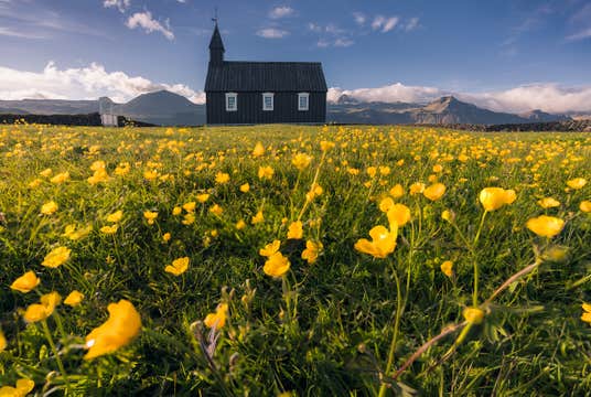 Small-Group Snaefellsnes Peninsula Tour from Grundarfjordur Cruise Port