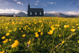 Small-Group Snaefellsnes Peninsula Tour from Grundarfjordur Cruise Port