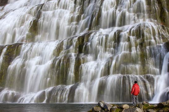 Dynjandi Waterfall and Westfjords Farm Small-Group Tour from Isafjordur Port