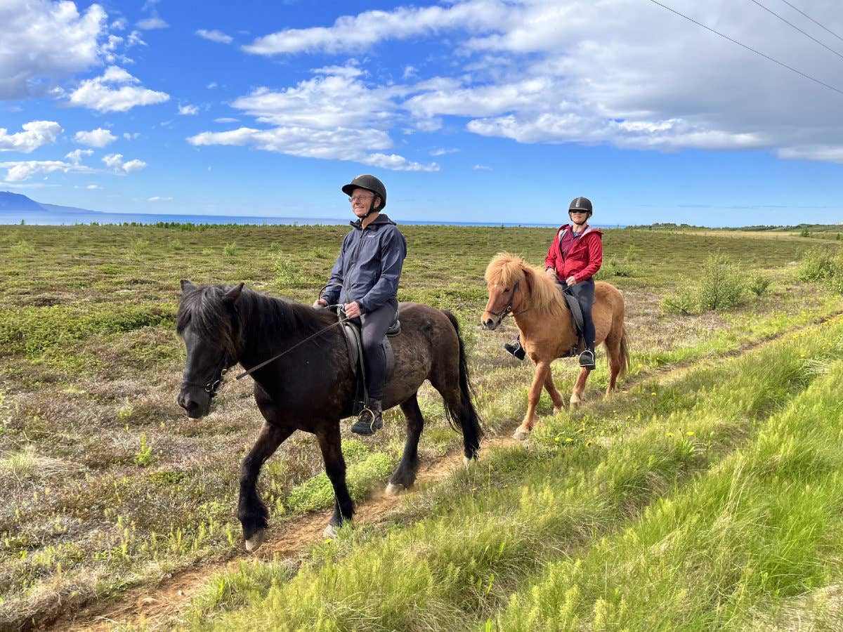 Scenic 1-Hour Horse Riding Tour With Panoramic Views From Saltvik Farm ...