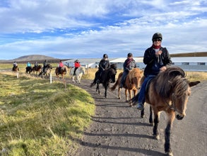Traverse picturesque trails behind Saltvik farm, a scenic journey where each bend reveals breathtaking views.