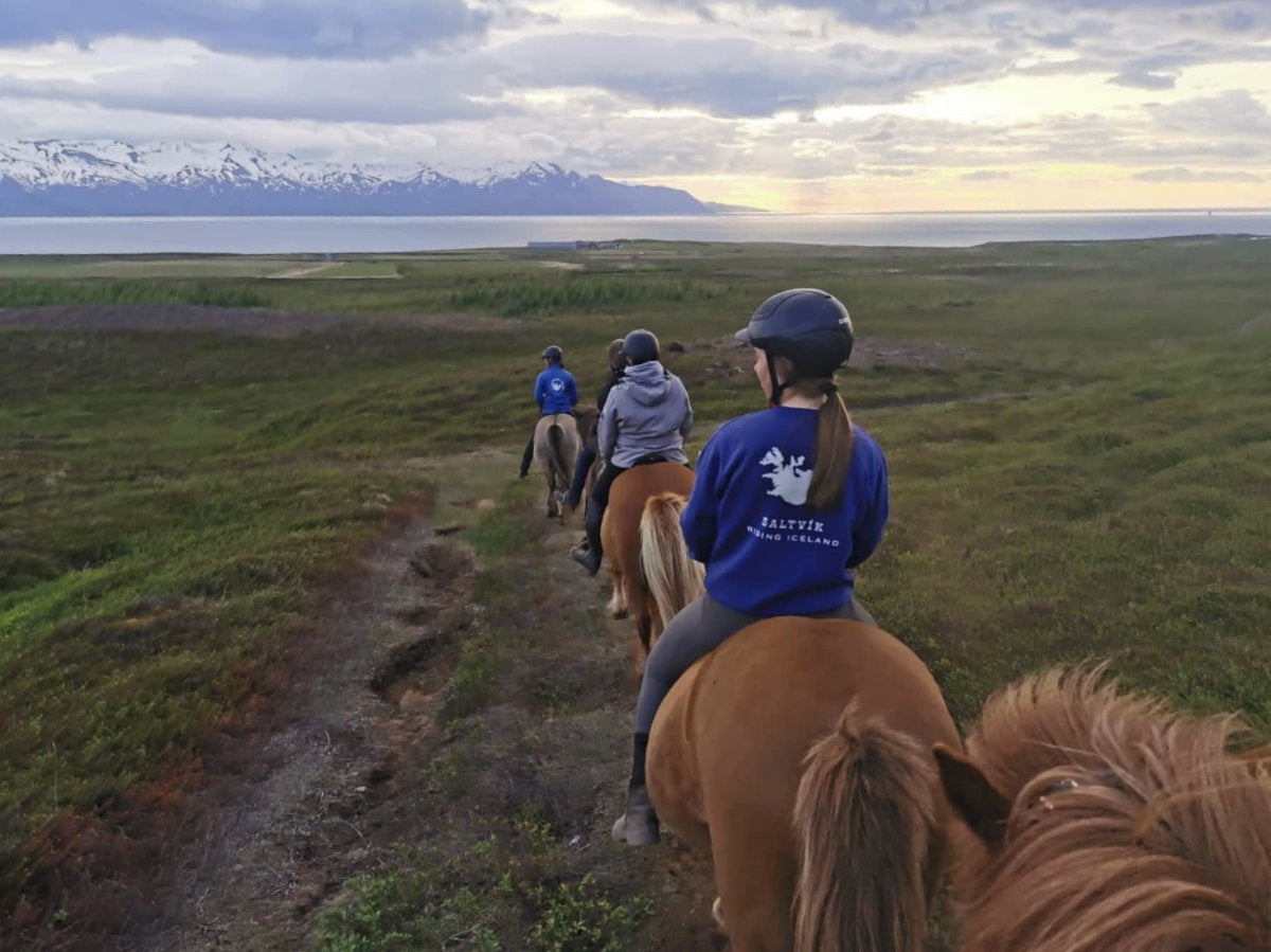 Scenic 1-Hour Horse Riding Tour With Panoramic Views From Saltvik Farm ...