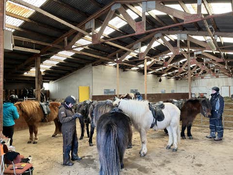 Scenic 1-Hour Horse Riding Tour With Panoramic Views From Saltvik Farm