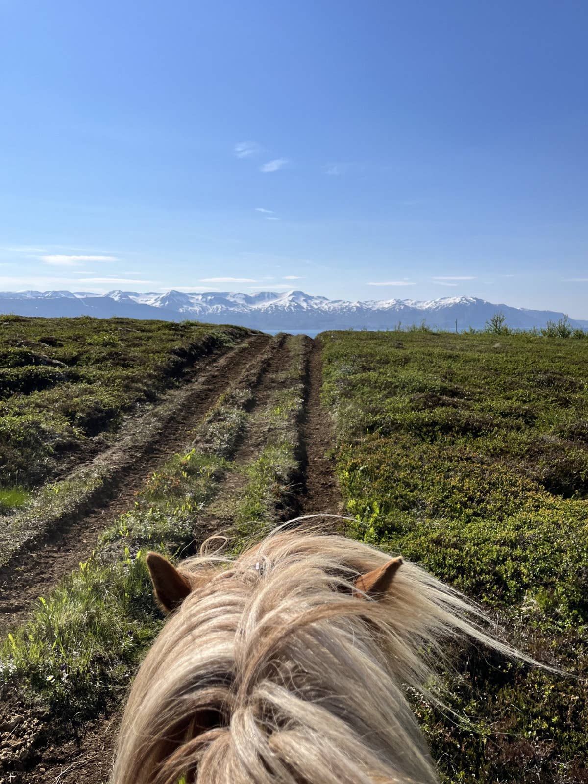 Scenic 1-Hour Horse Riding Tour With Panoramic Views From Saltvik Farm ...