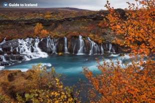 Hraunfossar på Vest-Island renner ut av et stort lavafelt.