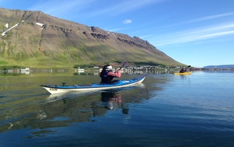 Adventurers kayaking in a scenic fjord surrounding Isafjordur in Iceland.