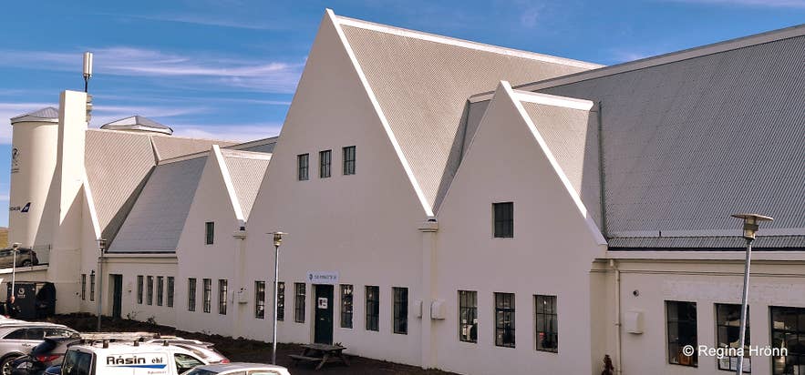 Beautiful Artwork by the noted Sculptor Ragnar Kjartansson Senior