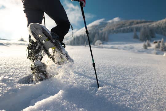 Private Eyjafjordur Snowshoe Hike from Akureyri