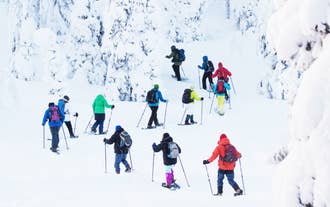 A line of hikers raising upwards on snowshoes on a slope of covered in snow.