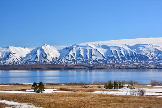 Private Eyjafjordur Snowshoe Hike from Akureyri