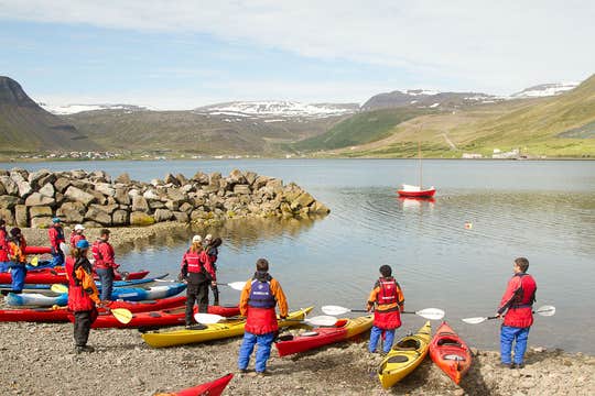 Small-Group 7-Hour Kayaking and Biking Tour in the Westfjords from Isafjordur