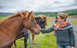 A woman wearing a lopapeysa petting an Icelandic horse during summer.