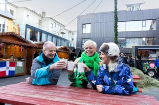 Happy people toasting their drinks with their private guide during a Christmas food tour in Reykjavik.