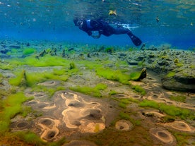 A person explores the river bed on a snorkeling tour in Iceland.