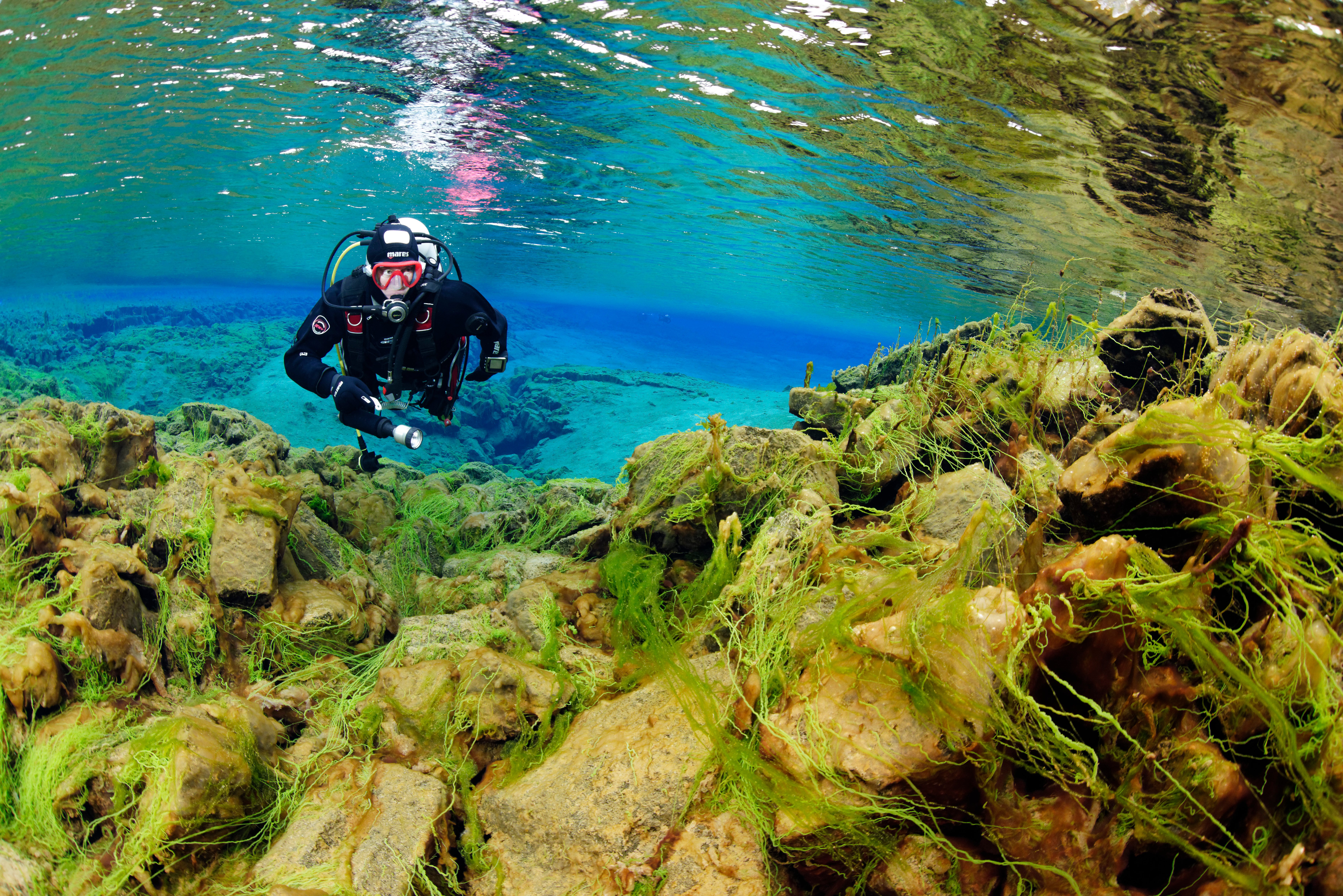A diver swims amid clear turquiose waters and shines a light on bright green moss-covered rocks underwater at the Silfra fissure.
