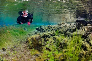 Litlaa river in North Iceland is perfect for snorkeling because of its shallow and clear water.